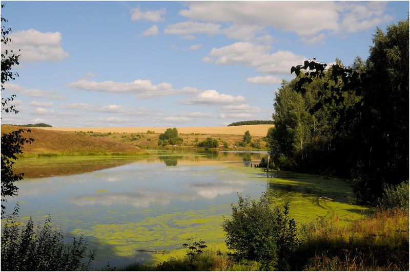 Озеро болото природа Изменившееся озеро фото превью