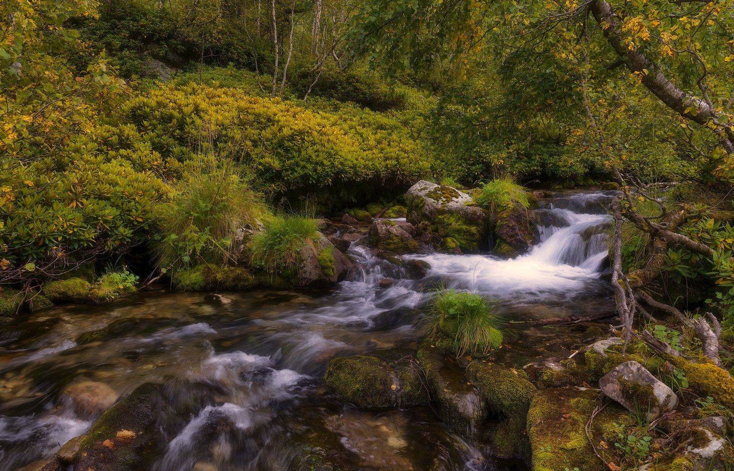 , Alexander Plekhanov