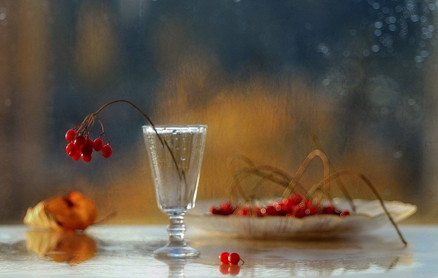 натюрморт,калина, Наталия К