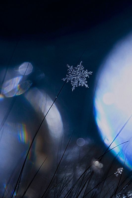 снежинка, зима, макро Одна из снежинок, что падает с неба фото превью