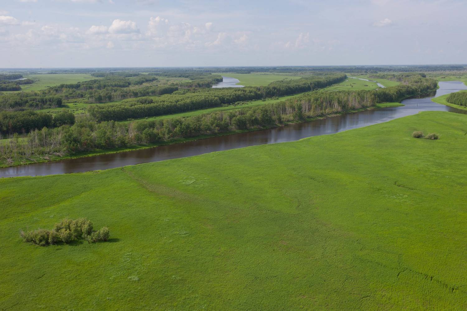 , Михаил Дронов