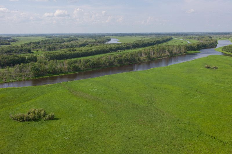 БВБ фото превью
