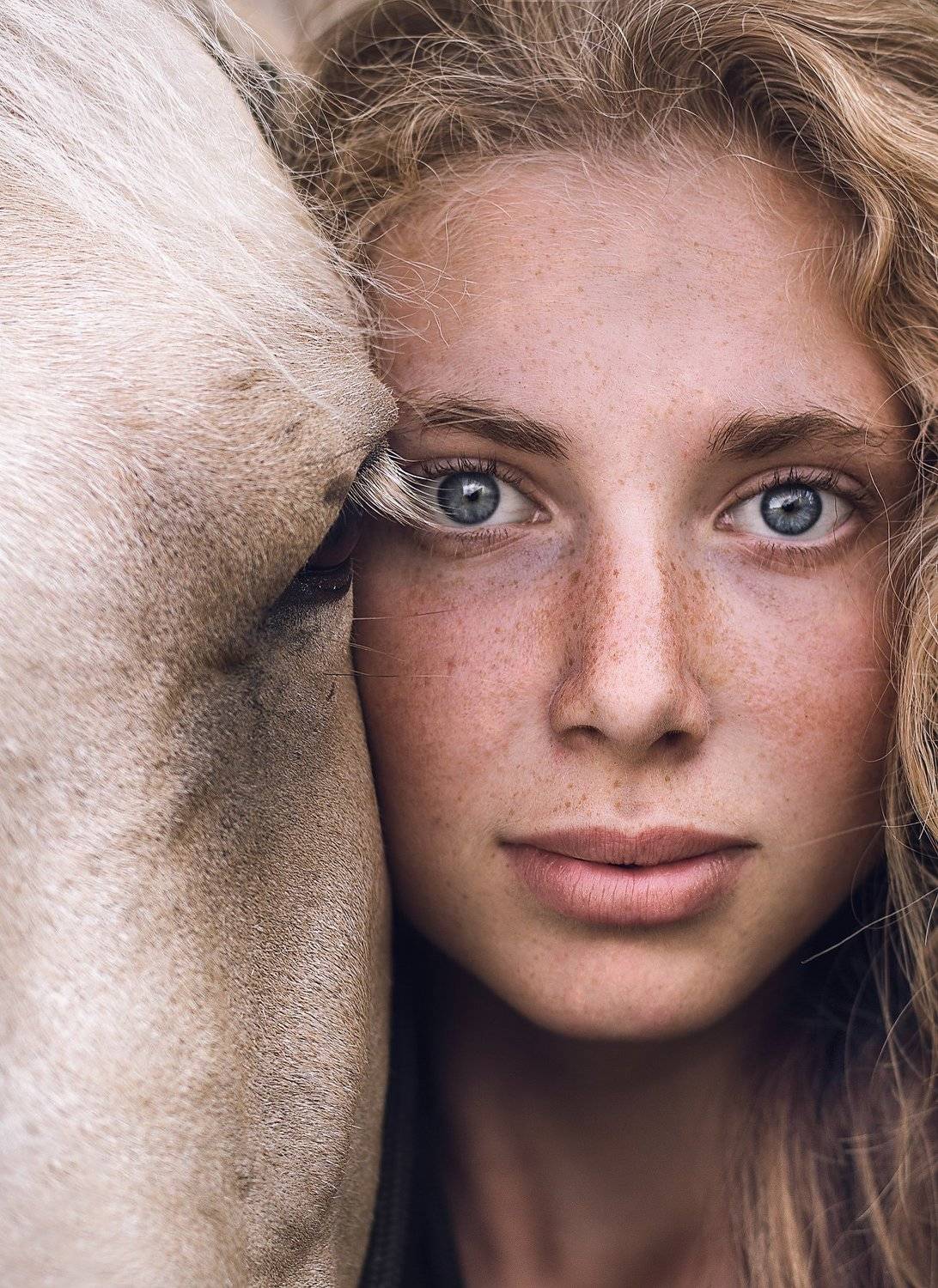 взгляд лошадь глаза портрет natural portrait horse love, Elina Garipova