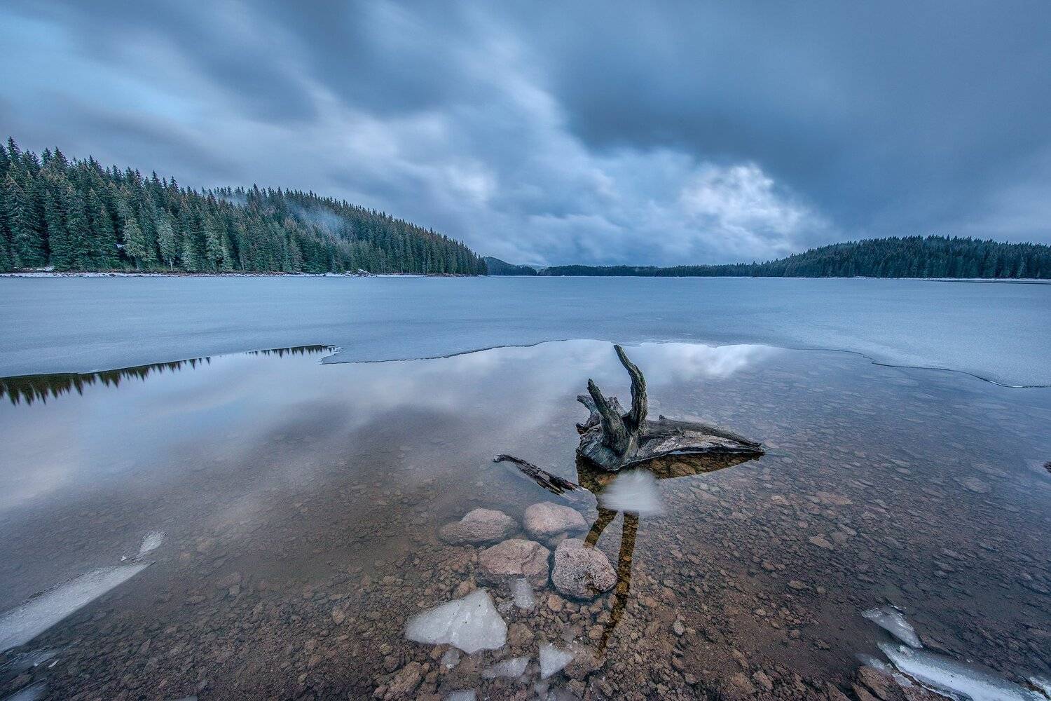 , Тодор Божков