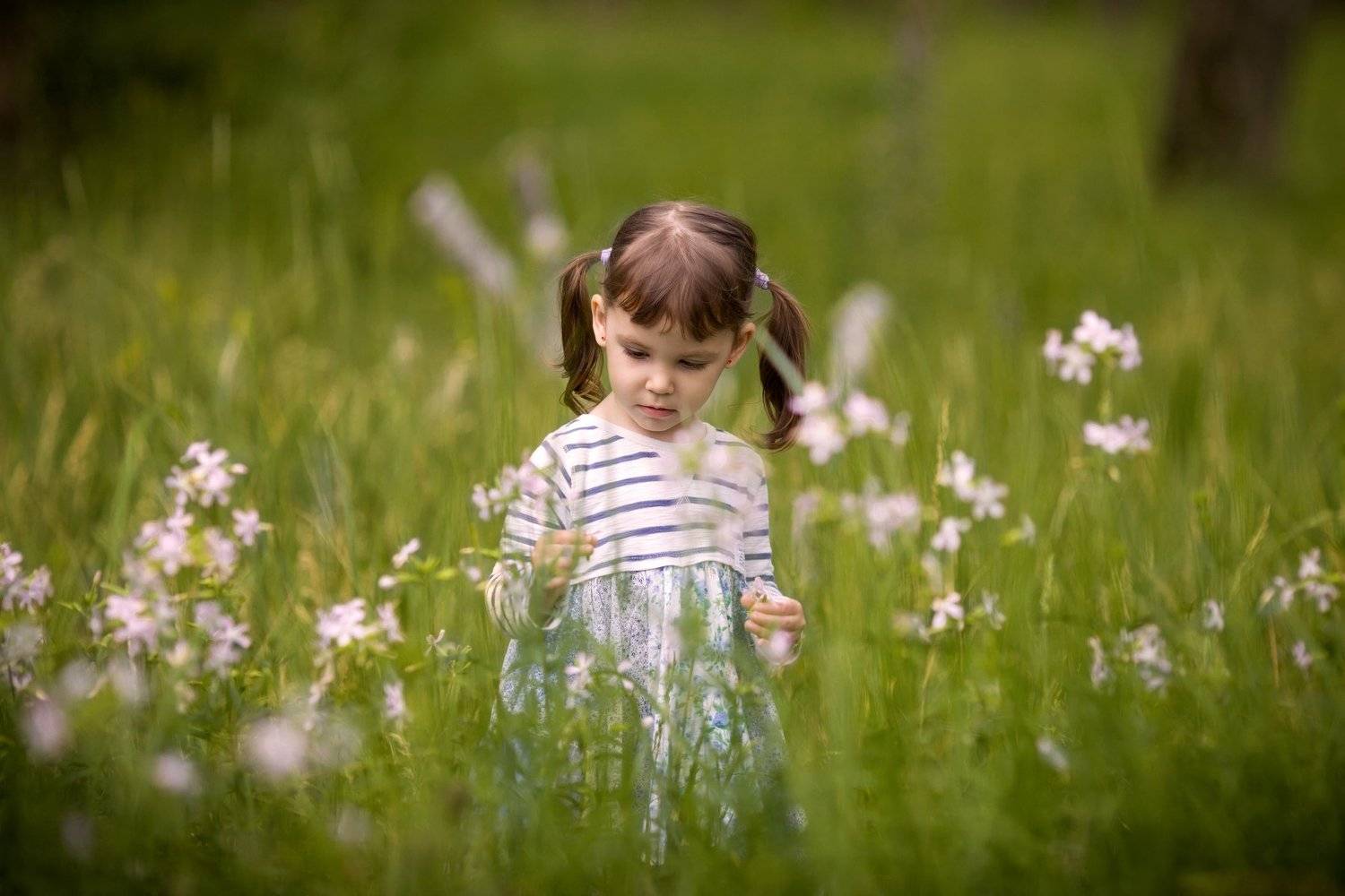 , Журавель Саша