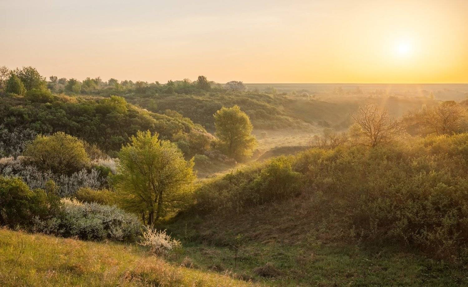 центрально-черноземный заповедник, казацкая степь, курская область, фотопроект, май, Арсений Кашкаров