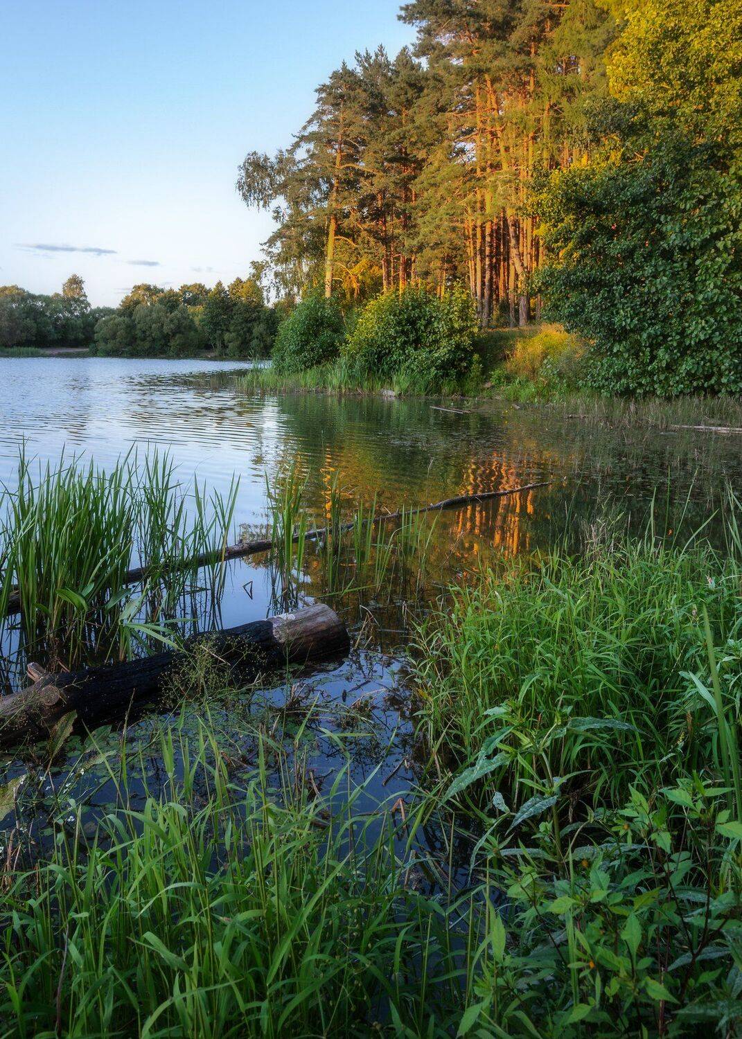 природа, россия, озеро, лето, пейзаж, landscape, russia, Мартыненко Дмитрий