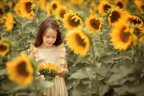 Много солнца