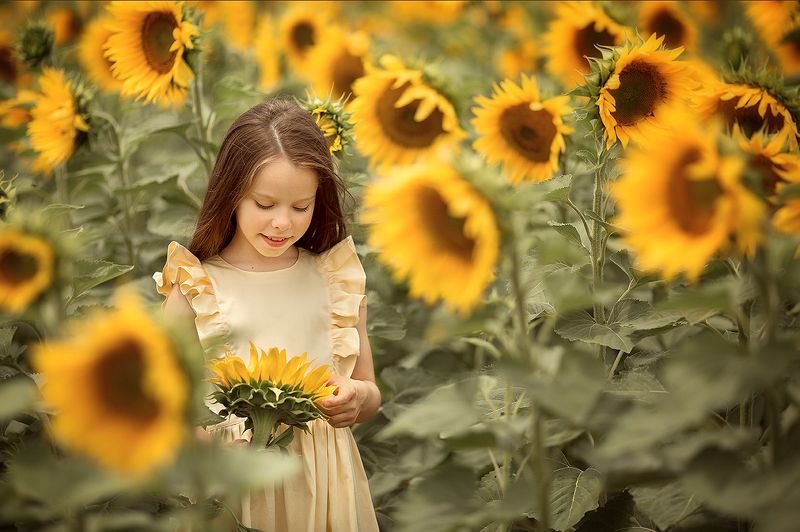 подсолнухи девочка портрет Много солнца фото превью