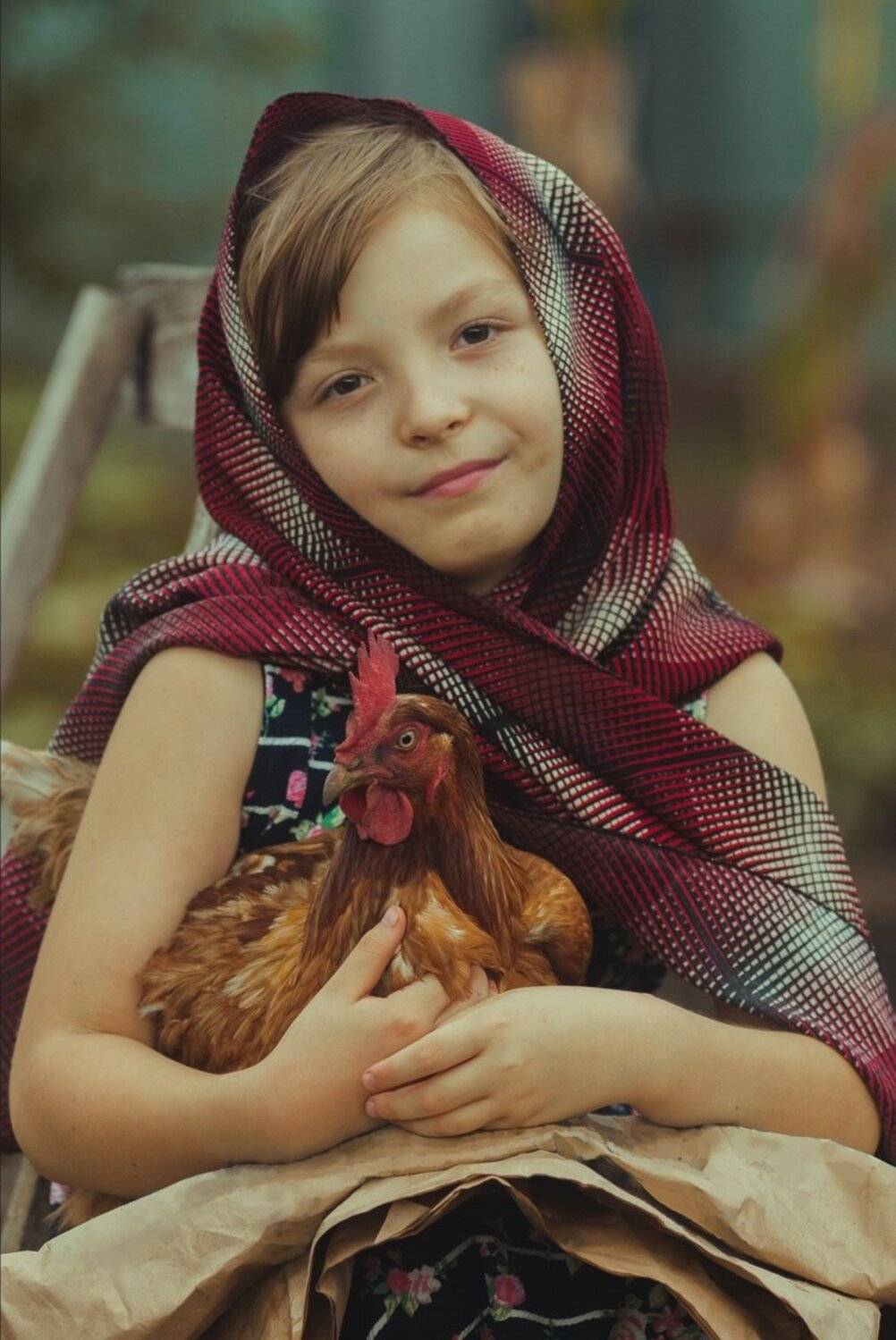 , Евгений Соколов