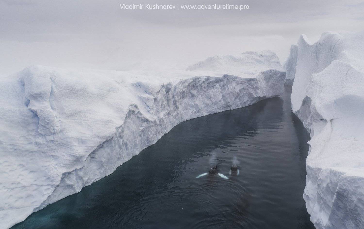 , Vladimir Kushnarev www.adventuretime.pro