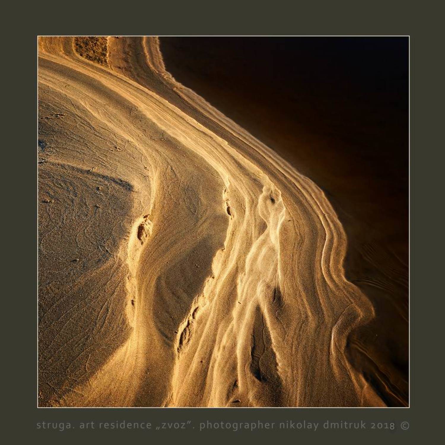 без, категории, николай дмитрук