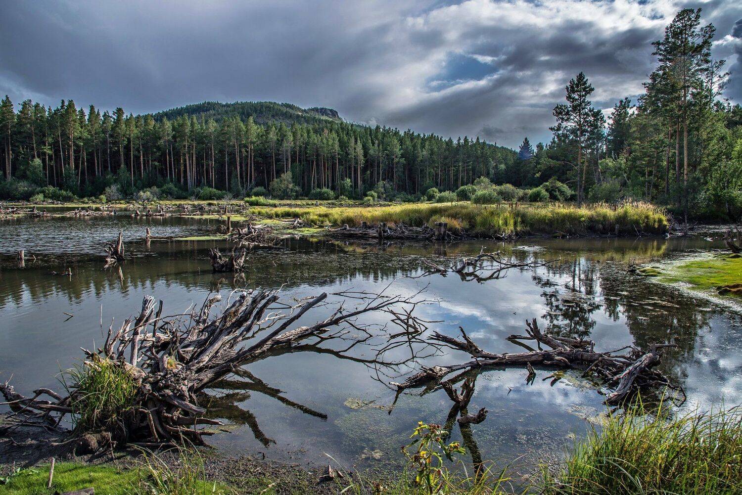 горы, Евгений Дроботенко
