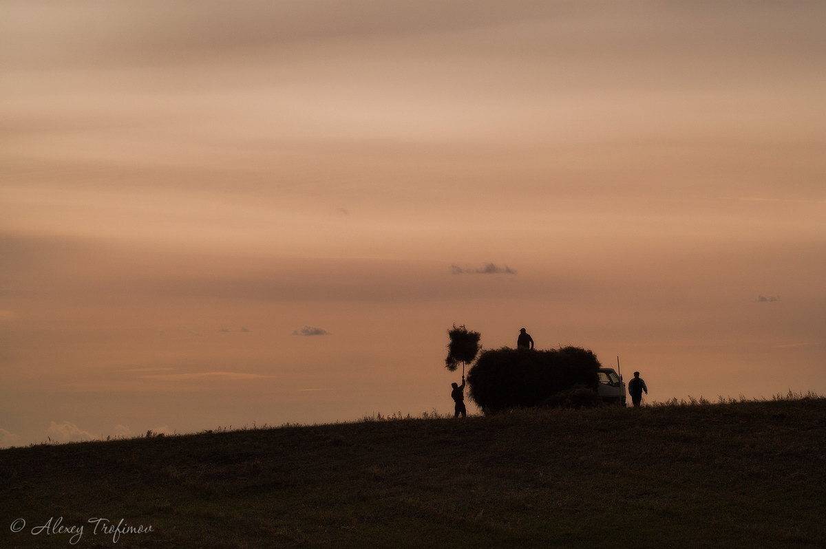 , Алексей Трофимов