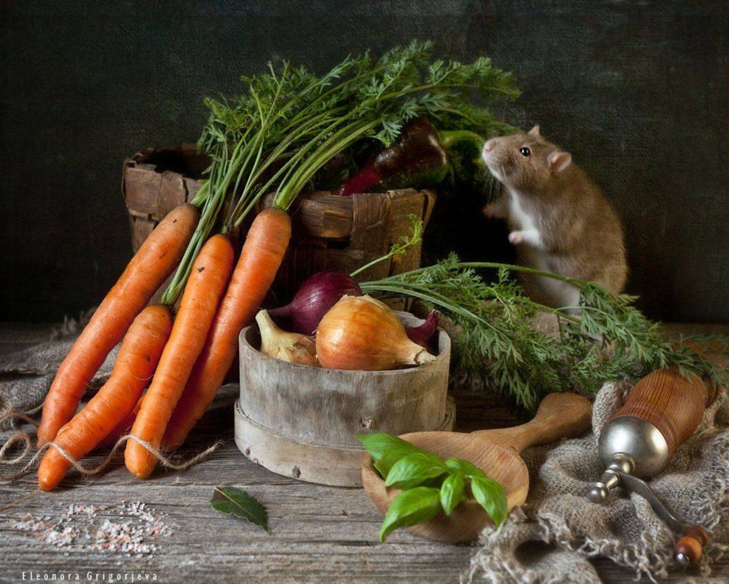 , Eleonora Grigorjeva