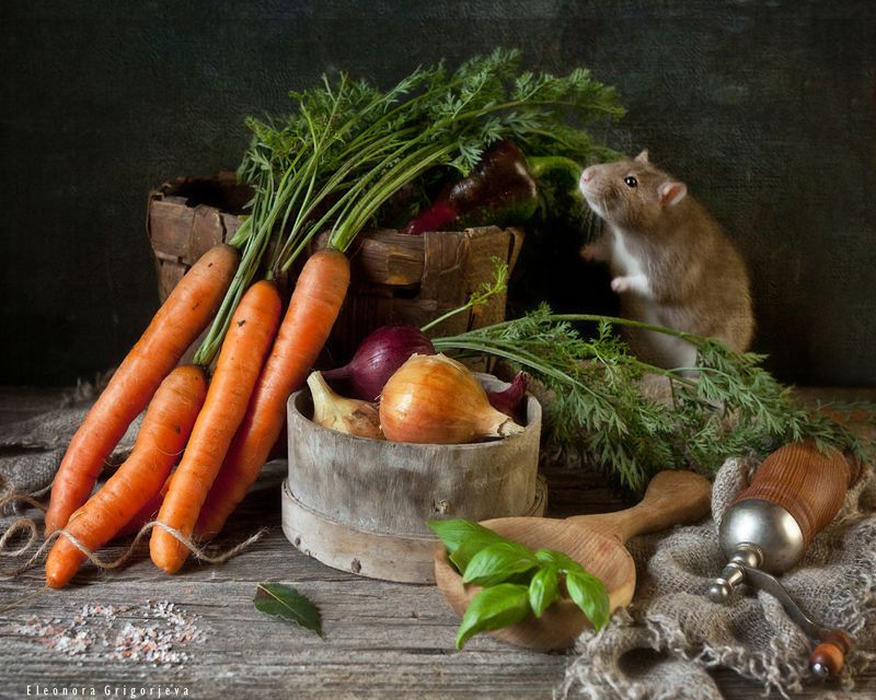 Любитель морковки фото превью