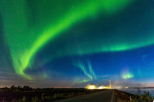 Последние ночи августа