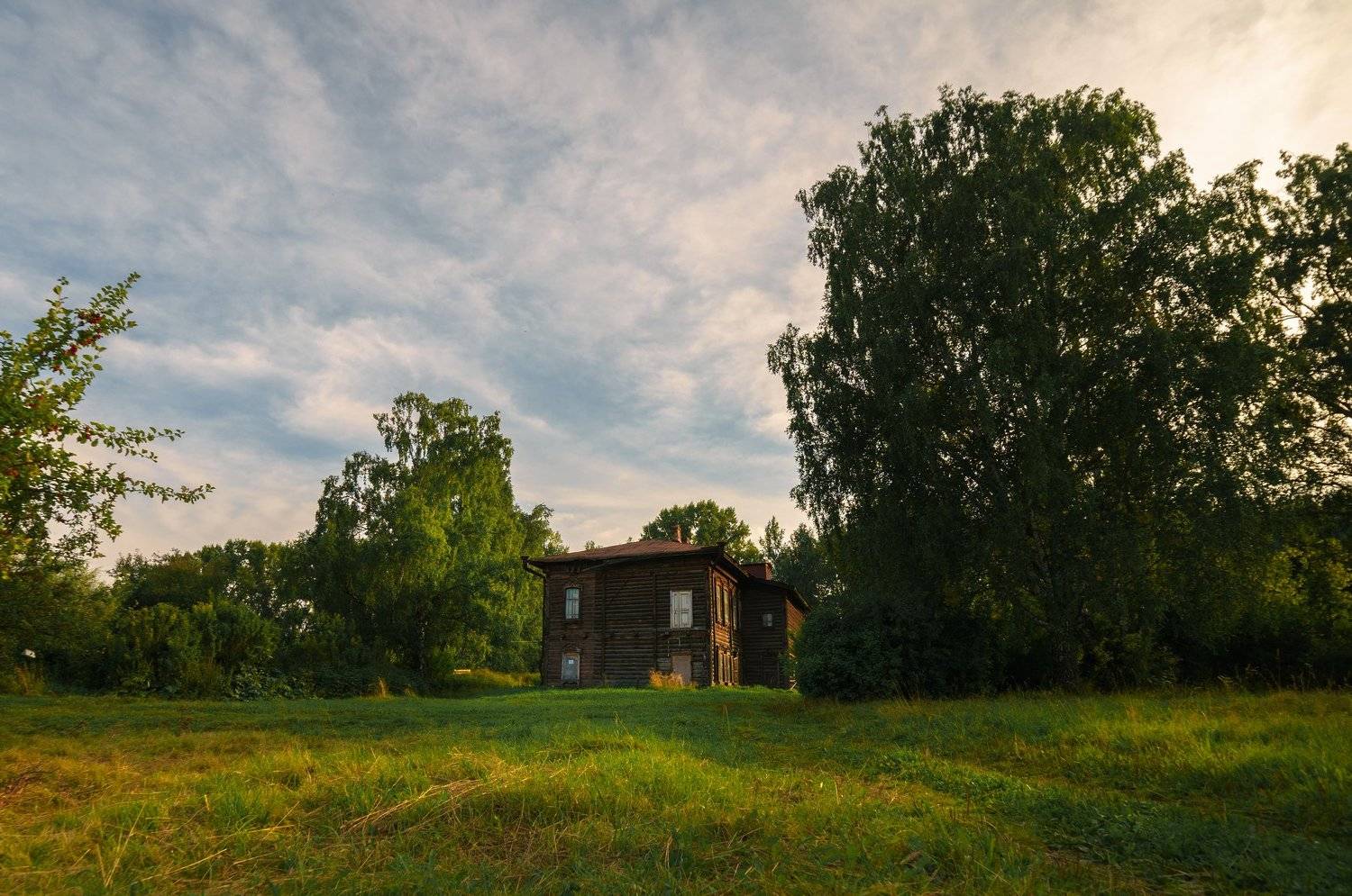 город, лес, Цвелёв Дмитрий