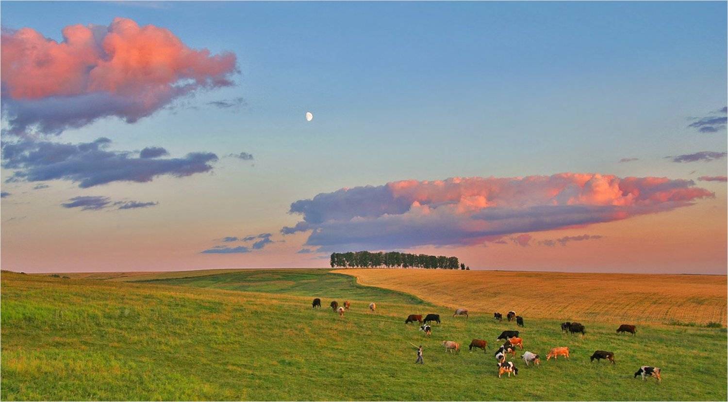 , Сергей Никсон