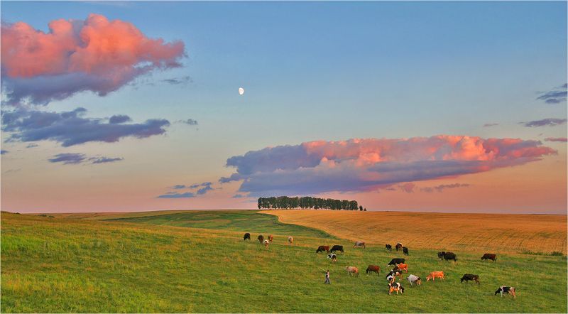 Пастораль фото превью