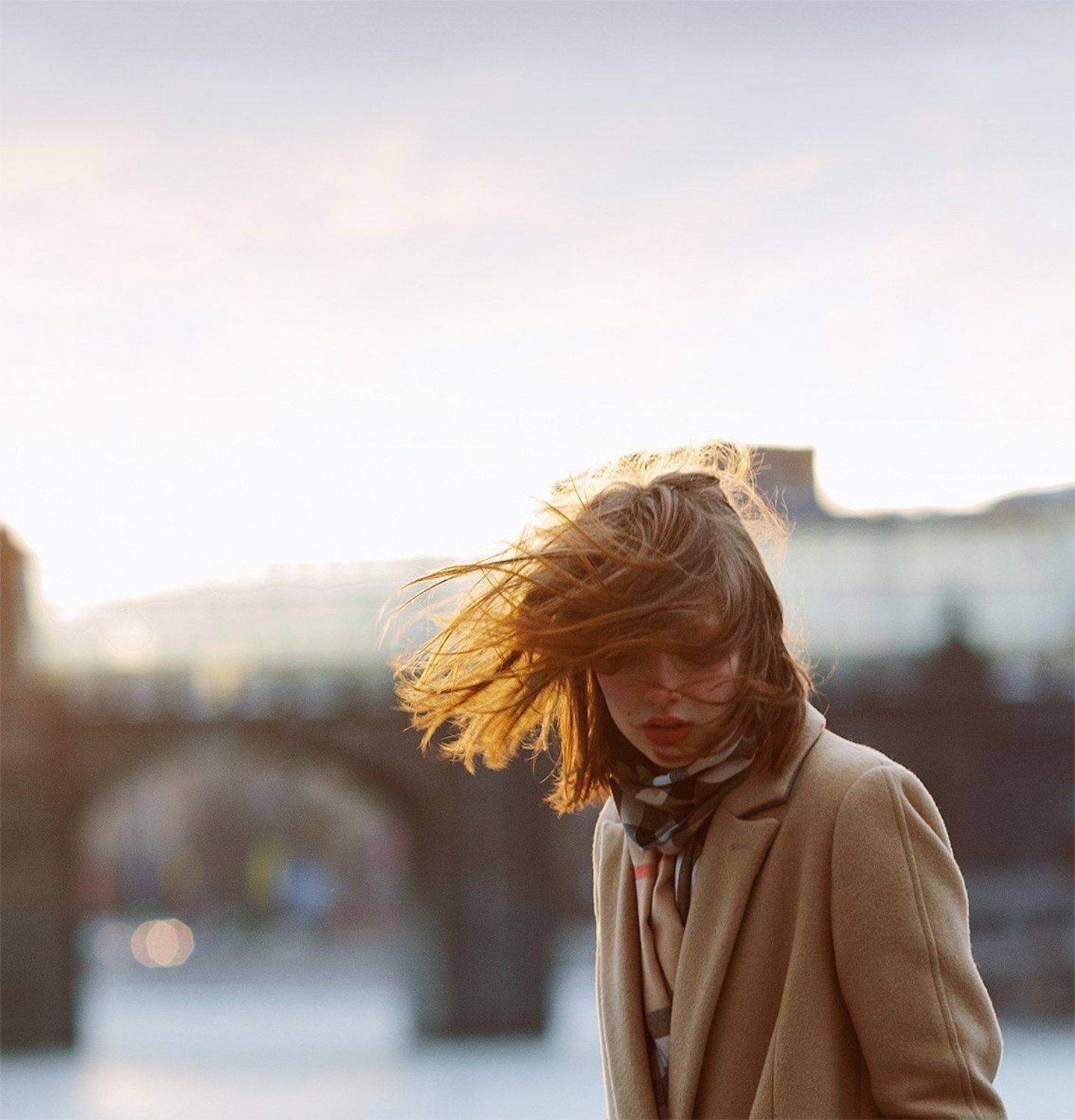 , Дмитрий Плеханов