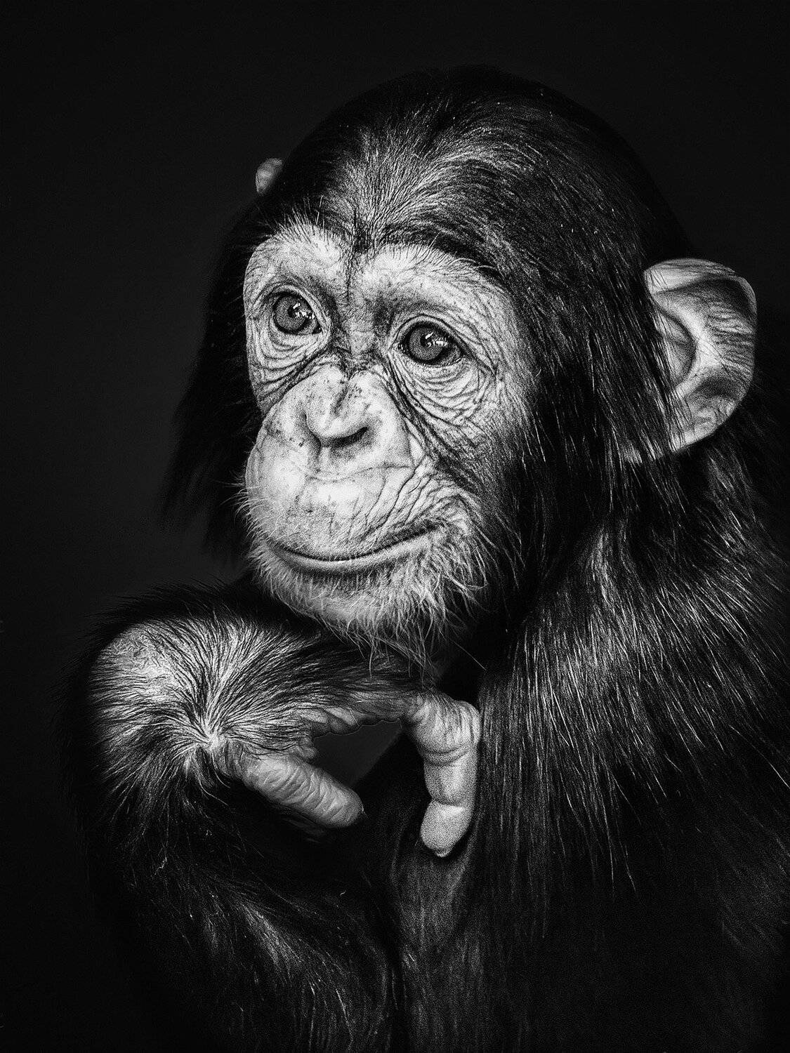 , Андрей Поляков