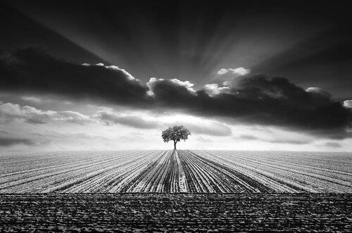 winter loneliness