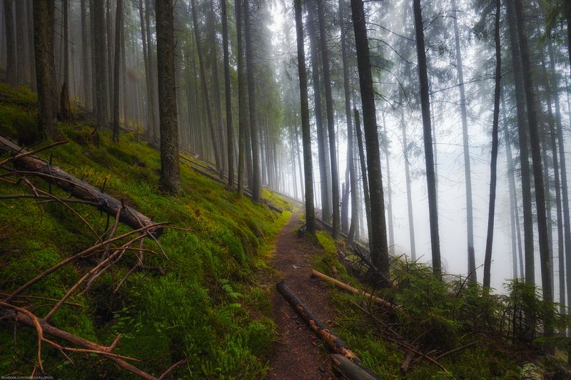 *** фото превью