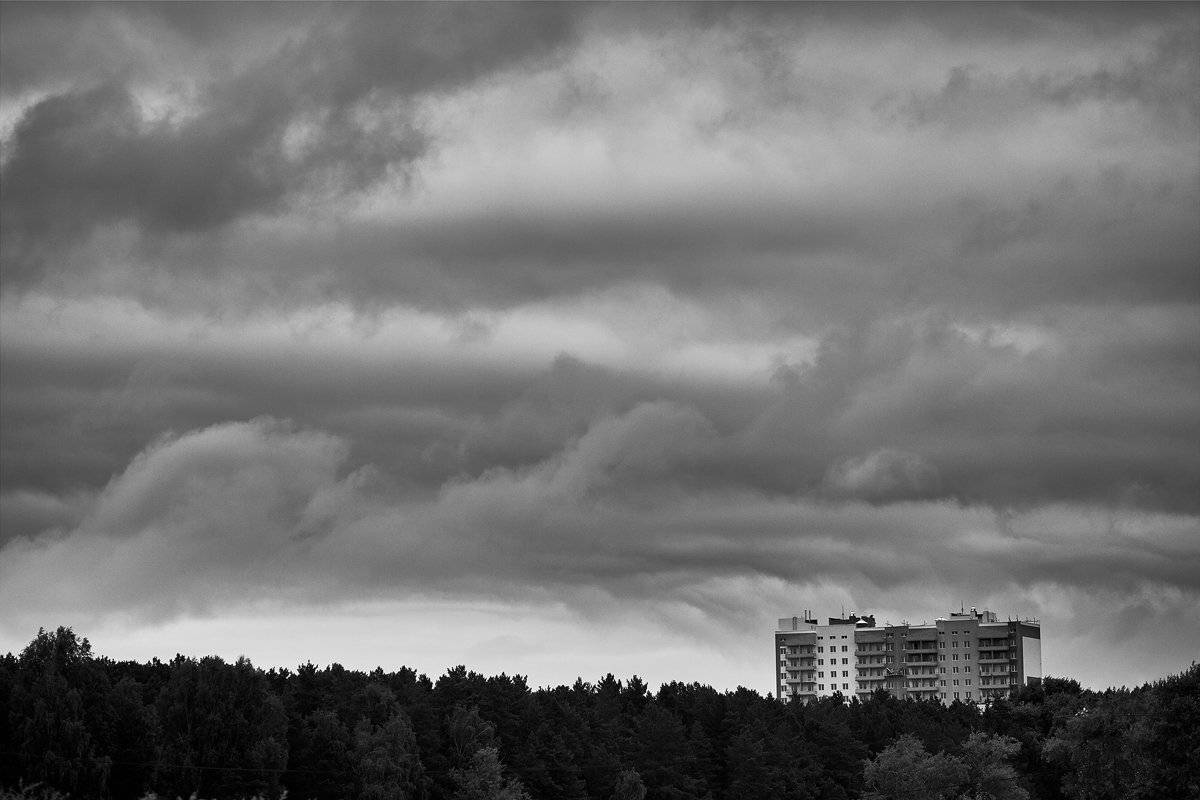 , Семён Конев