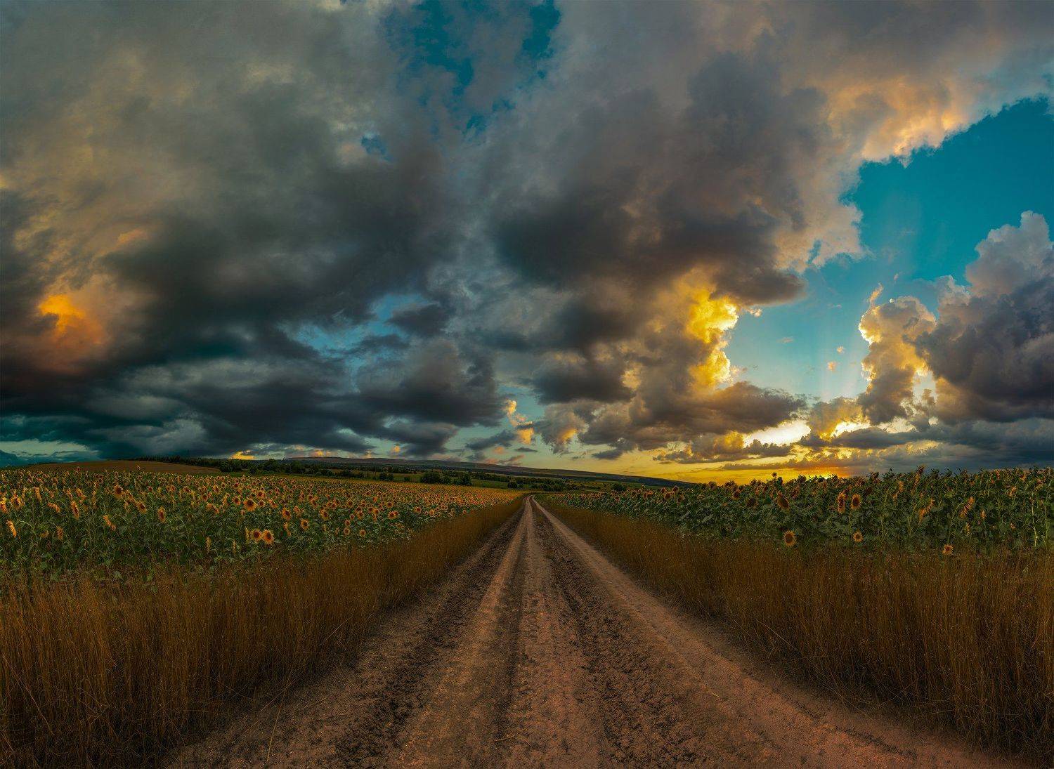 ceclii, nikon d3400, landscape, Tsvetan Ganev