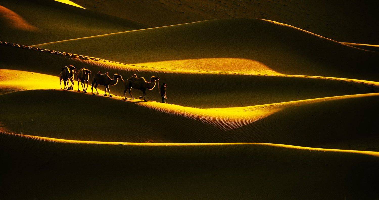 , Inkol Yu  유인걸