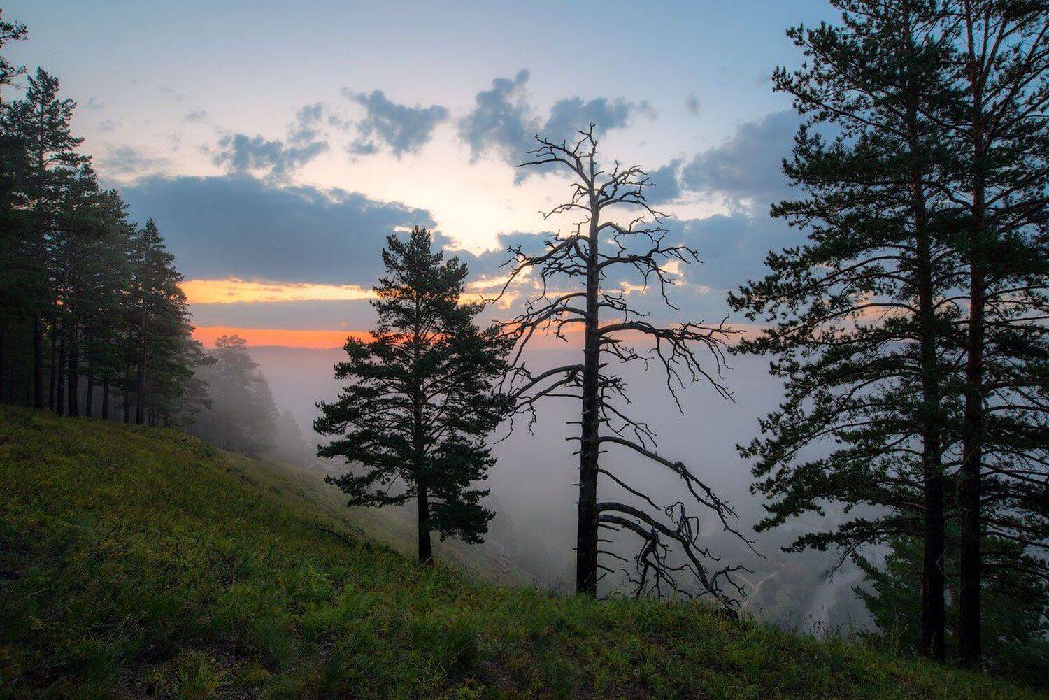 , Сергей Брагин