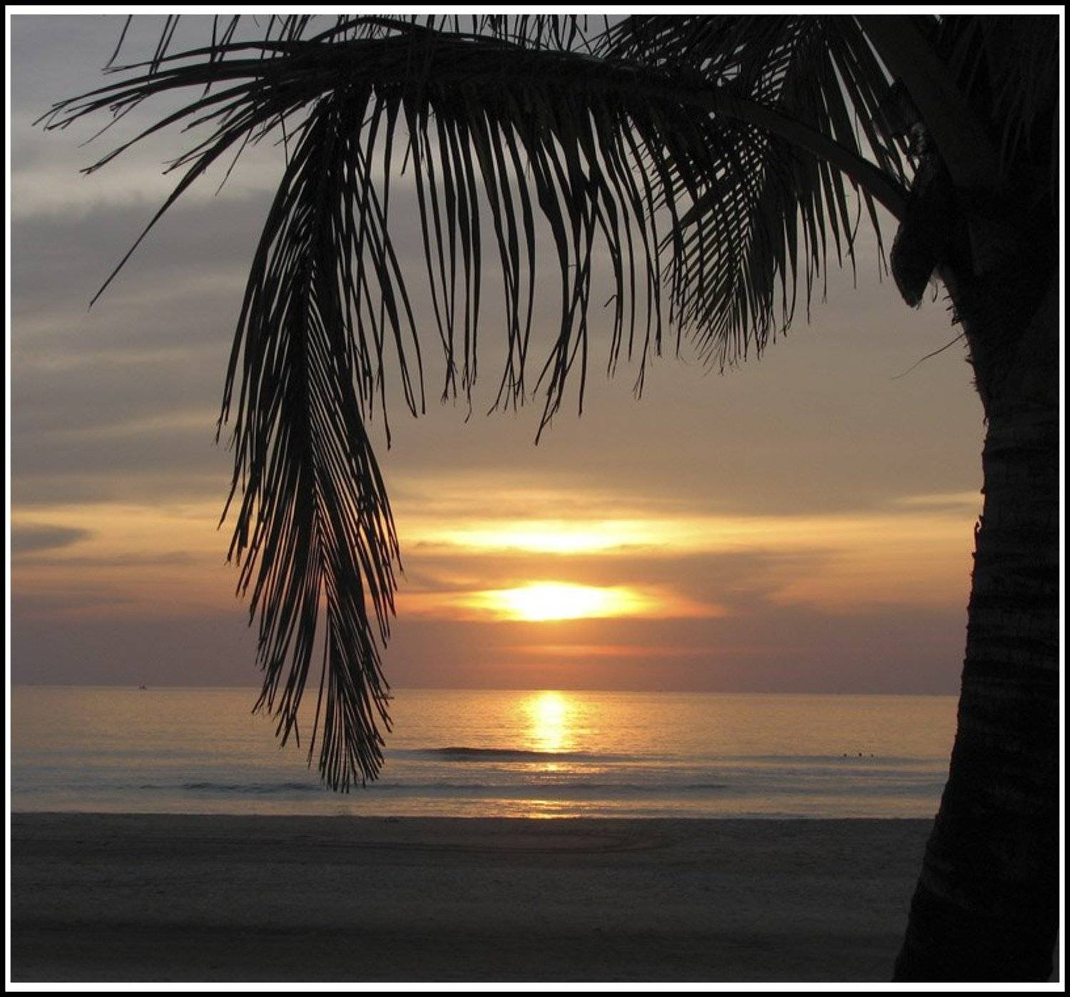 , Лунный Ежик