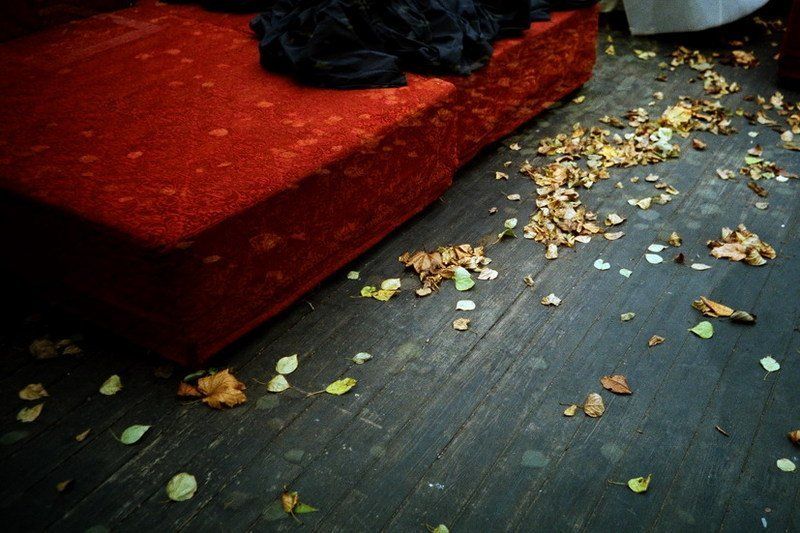 летнее кафе фото превью