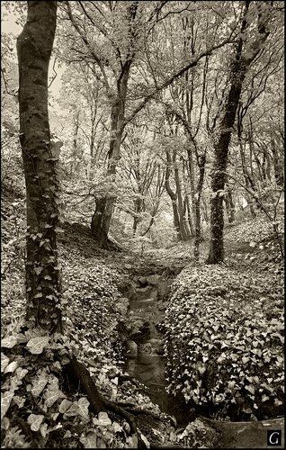 Сонное ущелье.