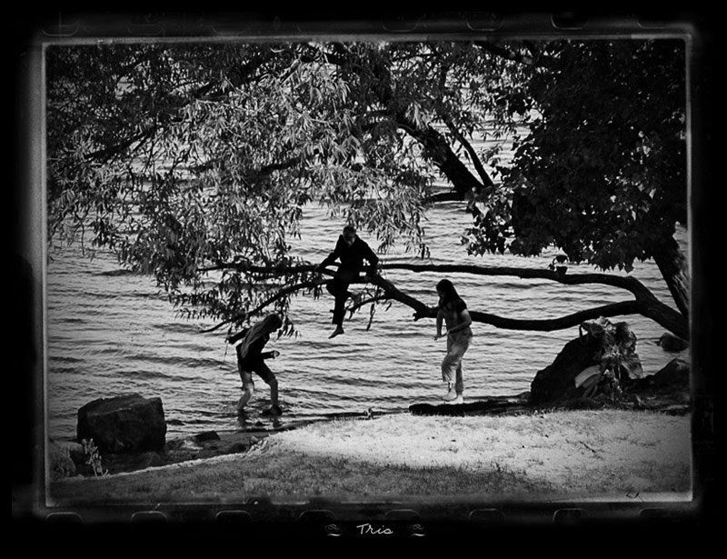 trio фото превью