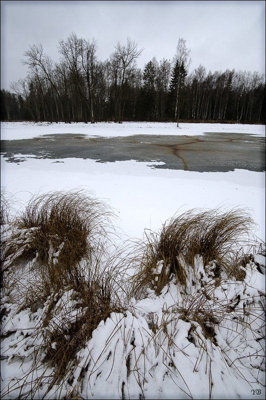 пушкин, александровский парк белая гадость... фото превью