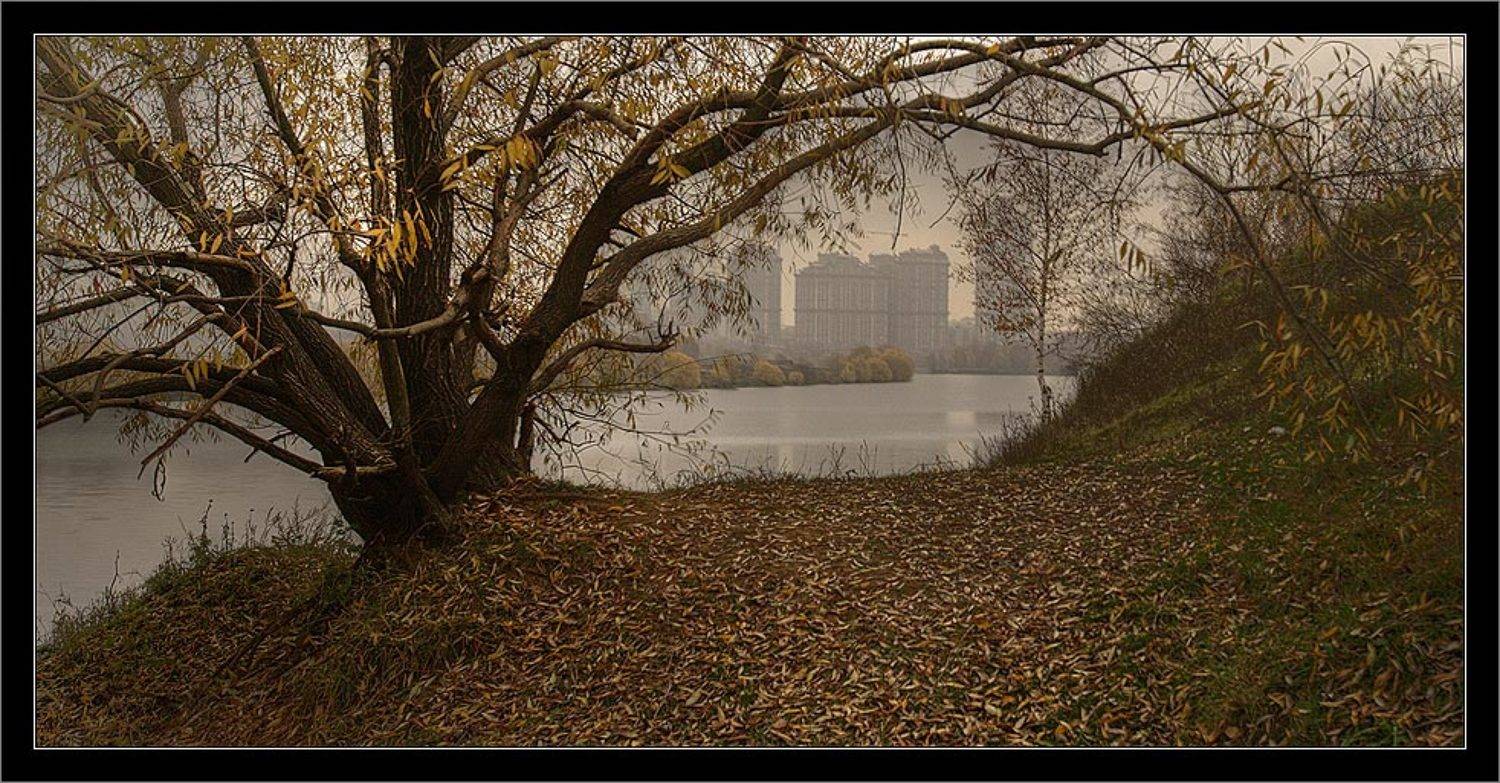 москва строгино парк, Алексей Войницкий