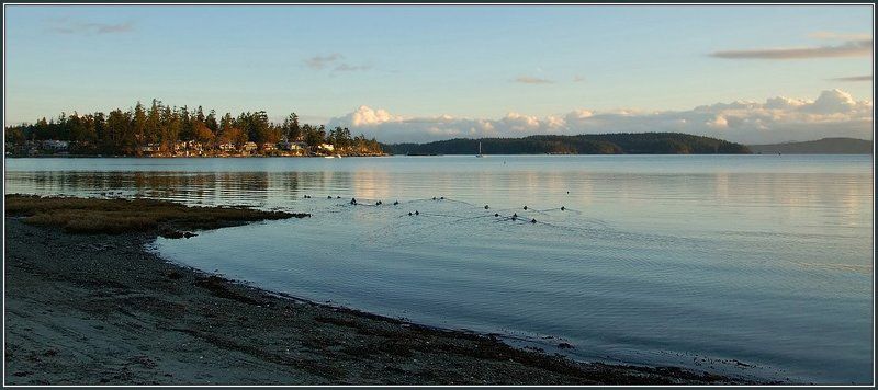 канада, утро, залив, остров, восход солнца, утки, берег, облака Солнце встает! фото превью