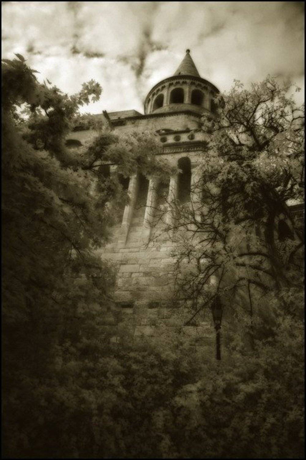 infrared венгрия, Тайлер Дёрден