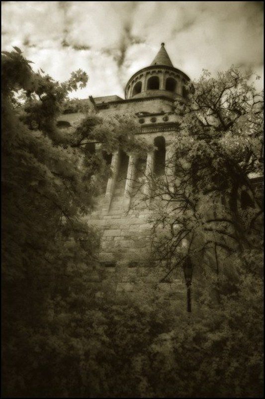 infrared венгрия infrared hungary фото превью