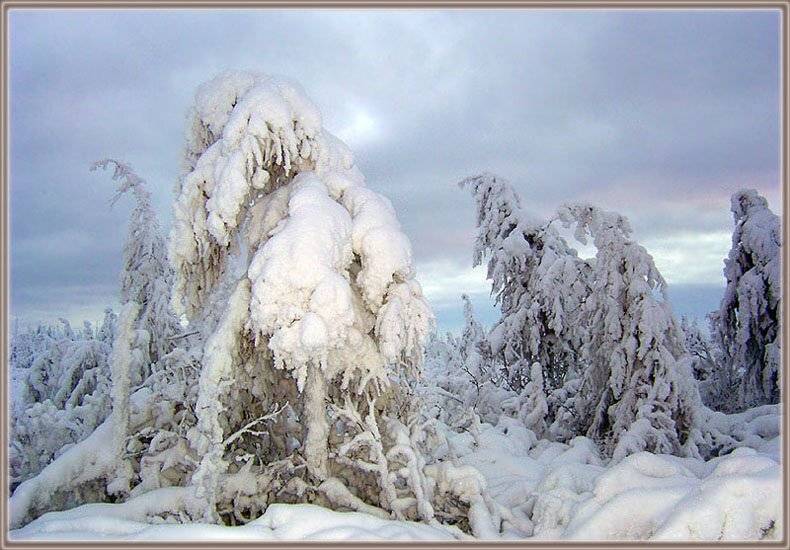 тайга зима якутия, Солодухин Виктор