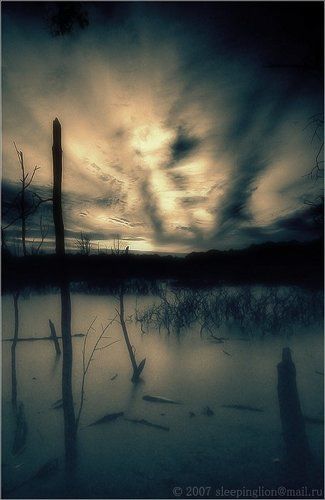 Show me the Horizon...