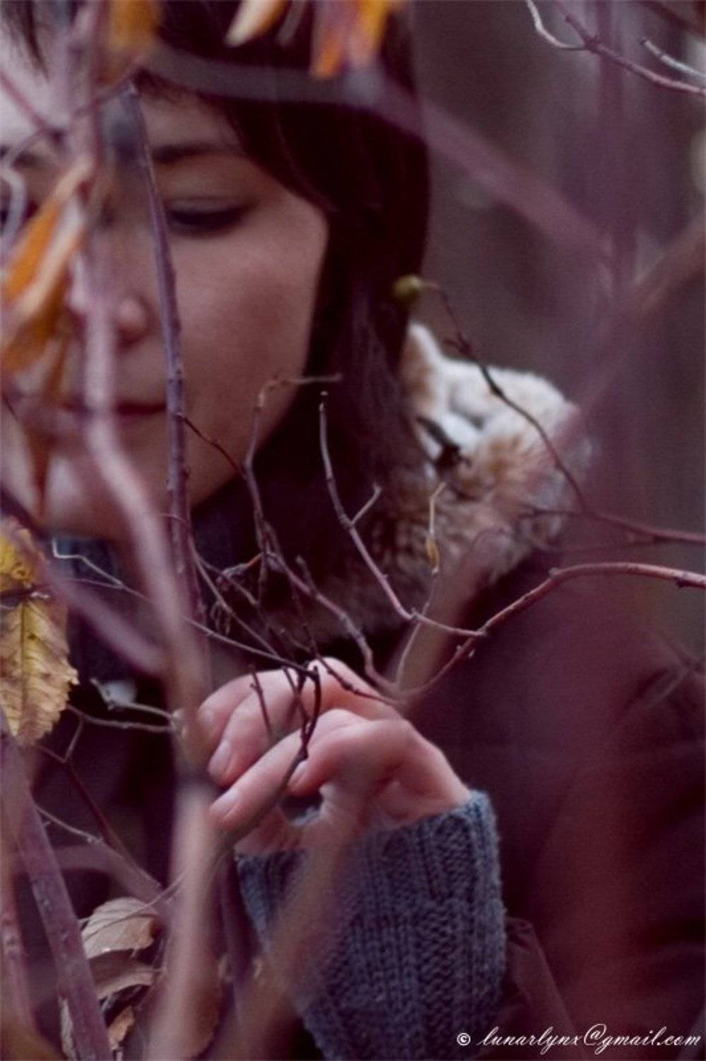 мысли ветви лиловый, lunarlynx