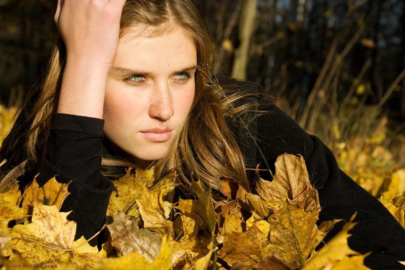 осень фото превью