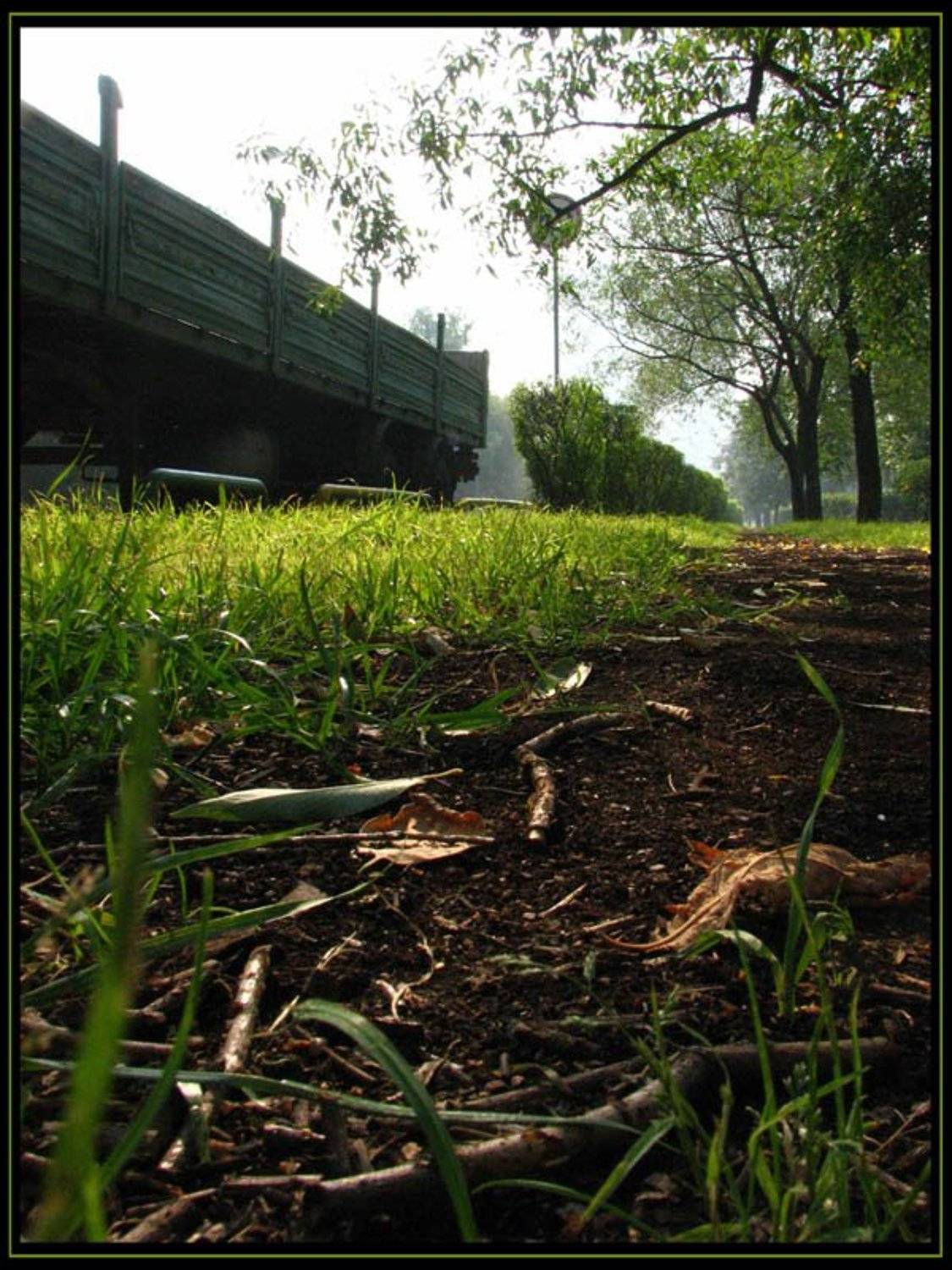 утро,парк,24ое лето:), Алексанр С.