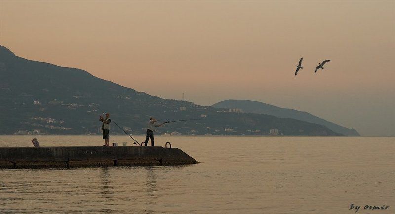 лето, крым, море, рыбалка, чайки, отпуск Дирижер и чайки фото превью