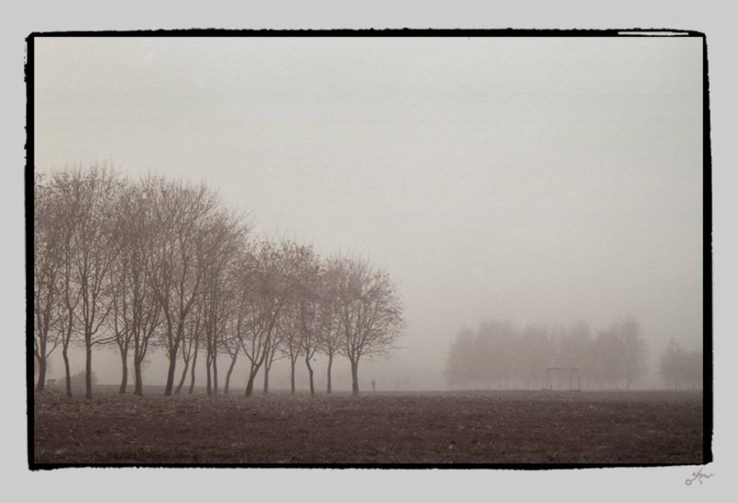 ч/б, пленка, пленка, ilford, туман, ноябрь, москва, ассоциации, Дмитрий