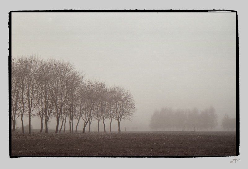 ч/б, пленка, пленка, ilford, туман, ноябрь, москва, ассоциации to be in a fog: dream фото превью