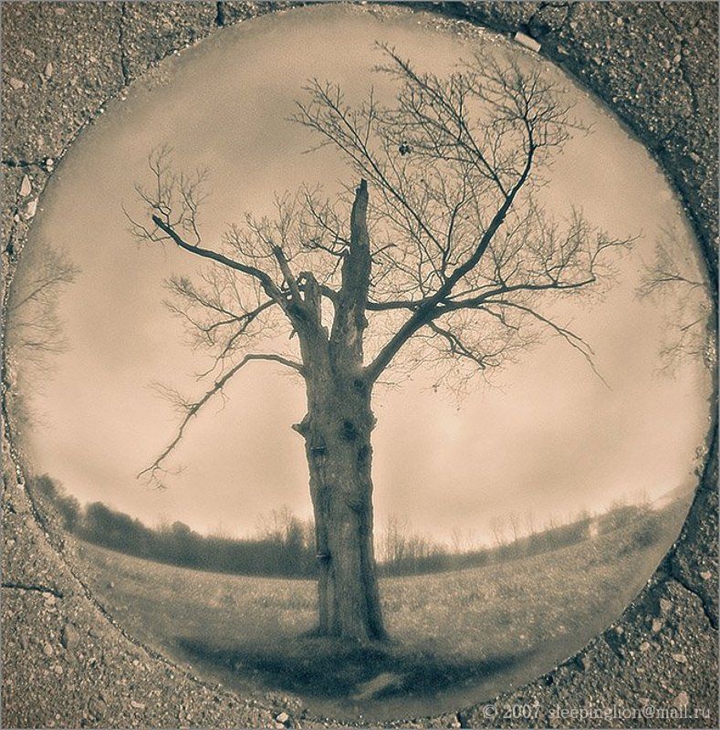 пейзаж, осень, дождь, тонирование, fisheye, pilgrim Взглядом рыбы фото превью